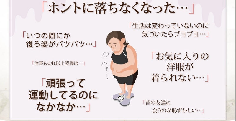 hoge1���T�C�g